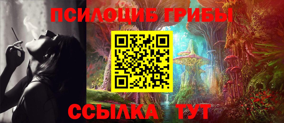 Галлюциногенные грибы Psilocybine cubensis  Вход с VPN  как найти   Майский 