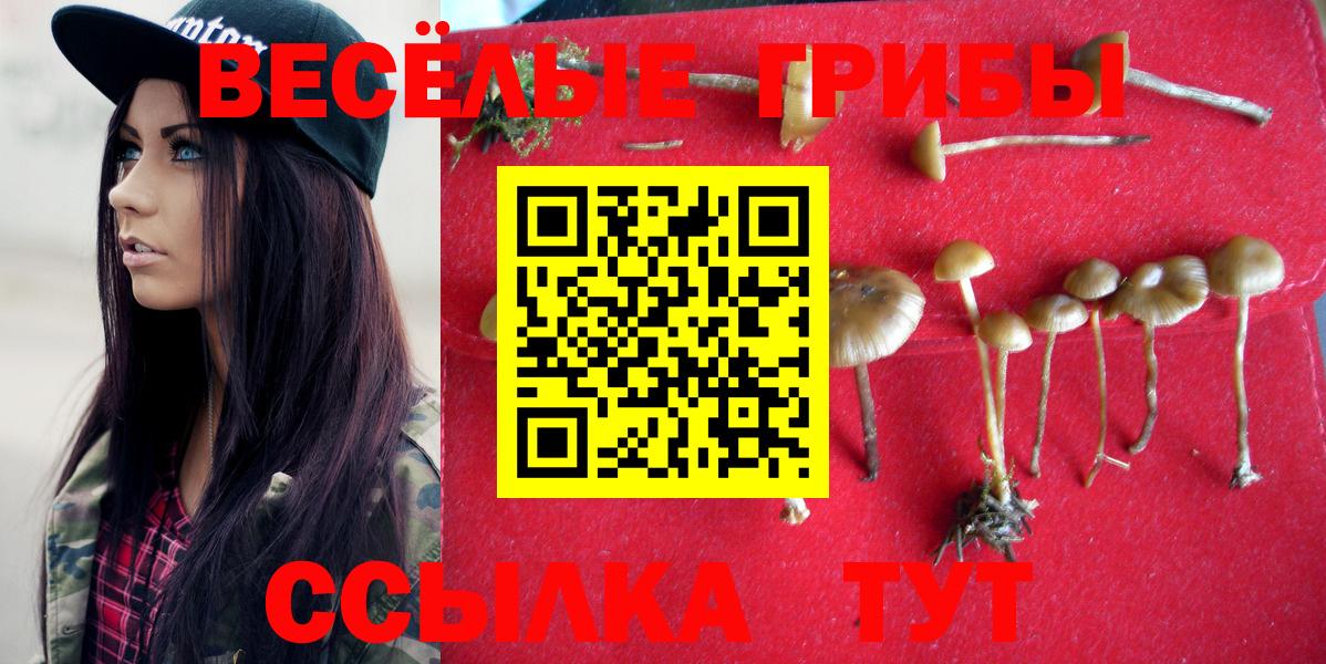 Галлюциногенные грибы Psilocybe Майский